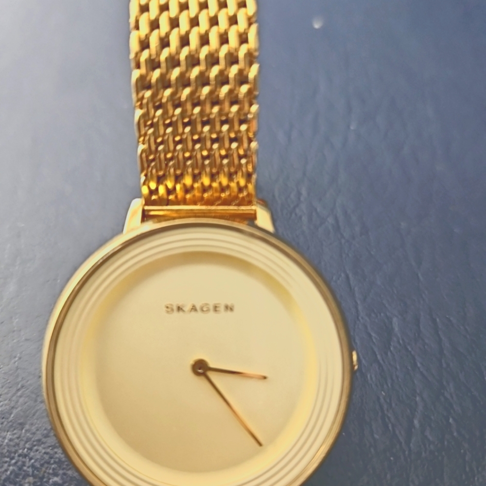 Ladie's Skagen Denmark Watch